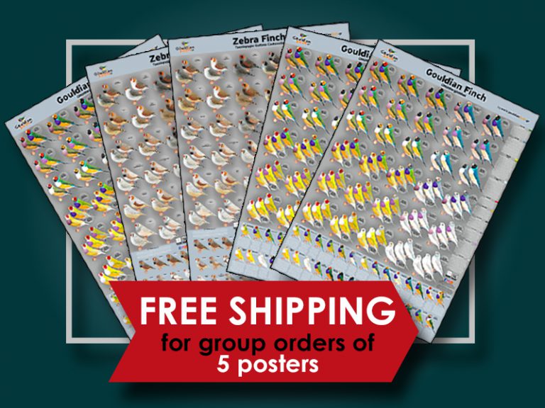 free shipping genetic mutations poster