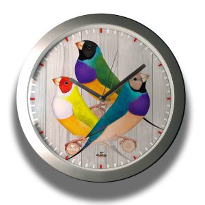 Clock-finches-006