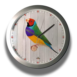 Clock-finches-007