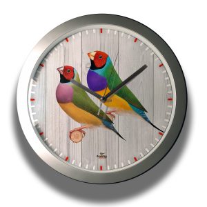 Clock-finches-008