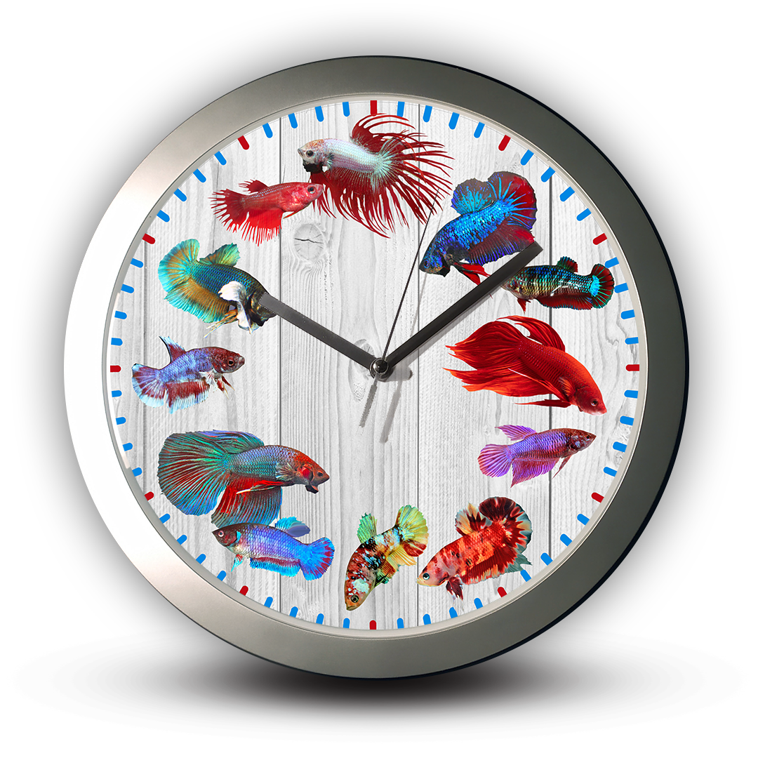 Different tail types of Betta - Siamese Fighting Fish, Silver Wall Clock