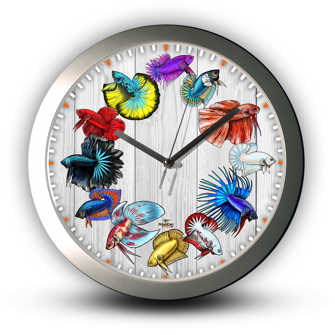 Different tail types of Betta - Siamese Fighting Fish, Silver Wall Clock