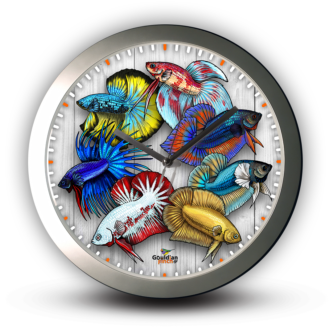 Different tail types of Betta - Siamese Fighting Fish, Silver Wall Clock