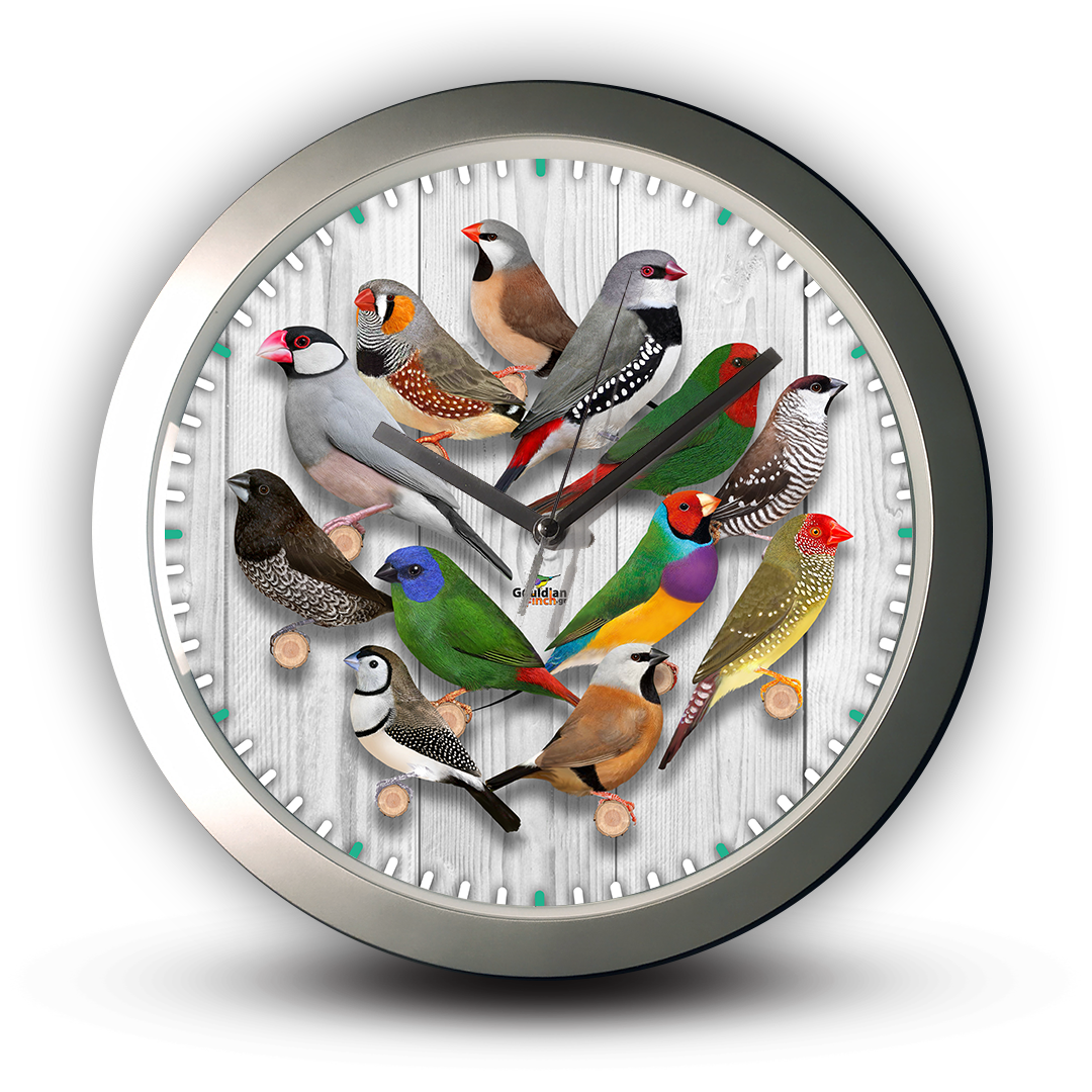Exotic Finches, silver Wall Clock
