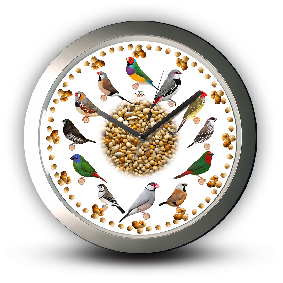 Seeds pattern twelve exotic finches silver wall clock