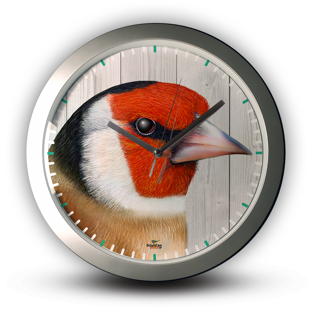 Goldfinch male head silver wall clock