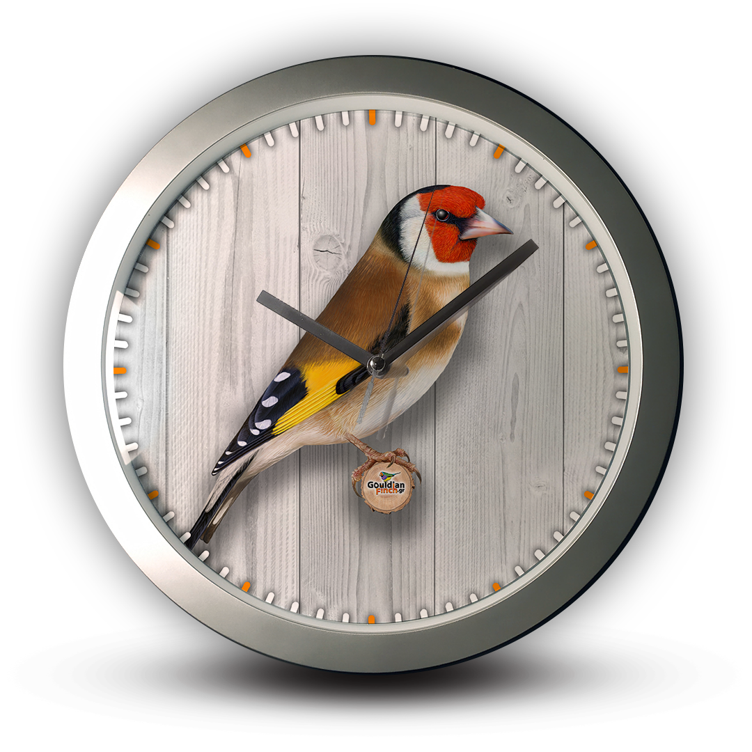 Goldfinch Ancestral male, silver Wall Clock
