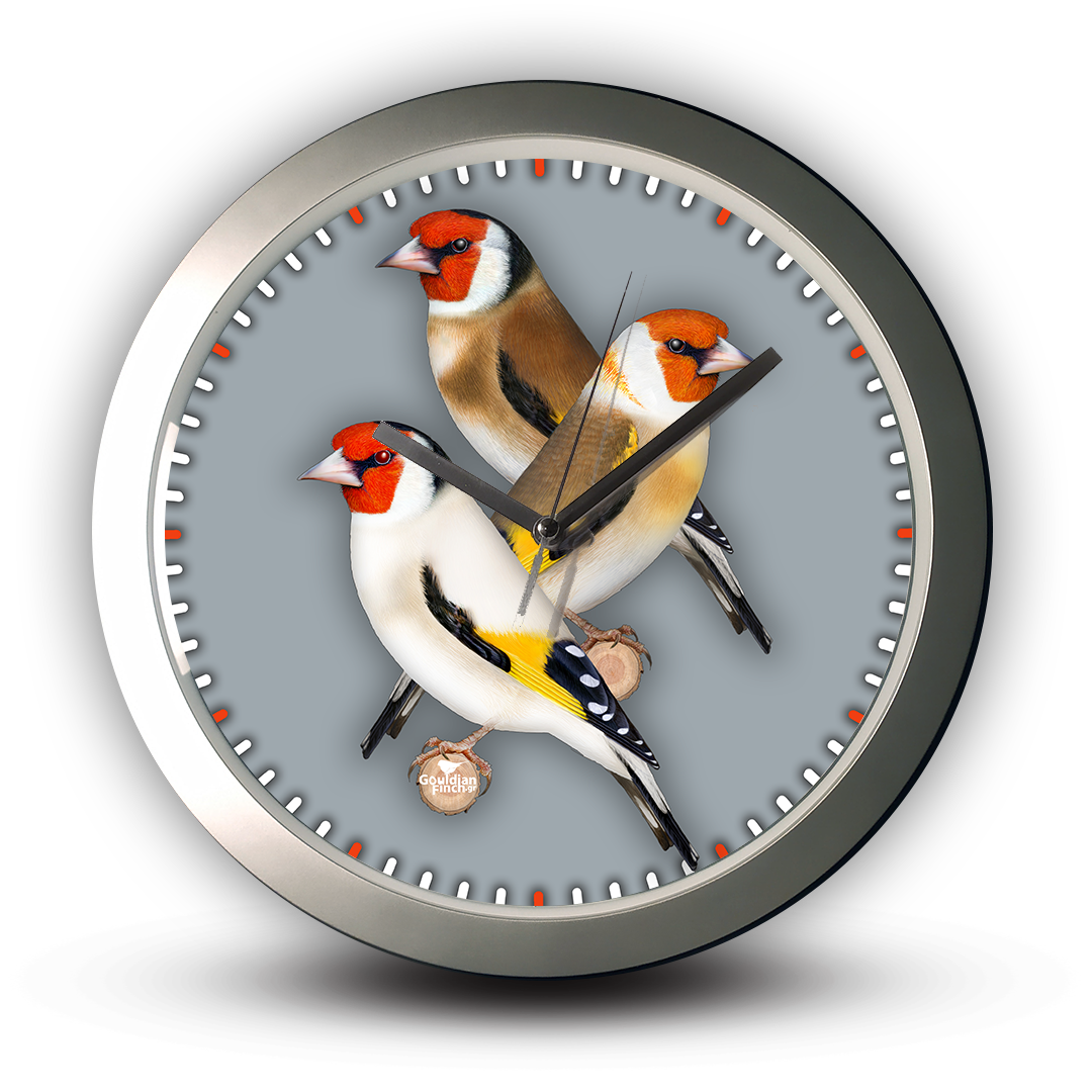 Three Goldfinch Different Mutations, silver Wall Clock