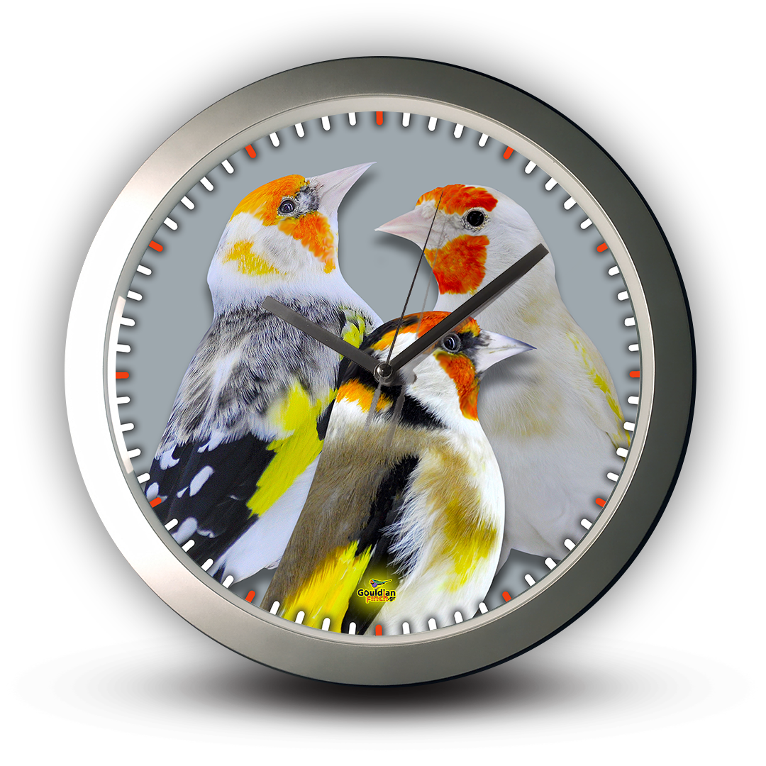 Three Goldfinch Photo Different Mutations, silver Wall Clock