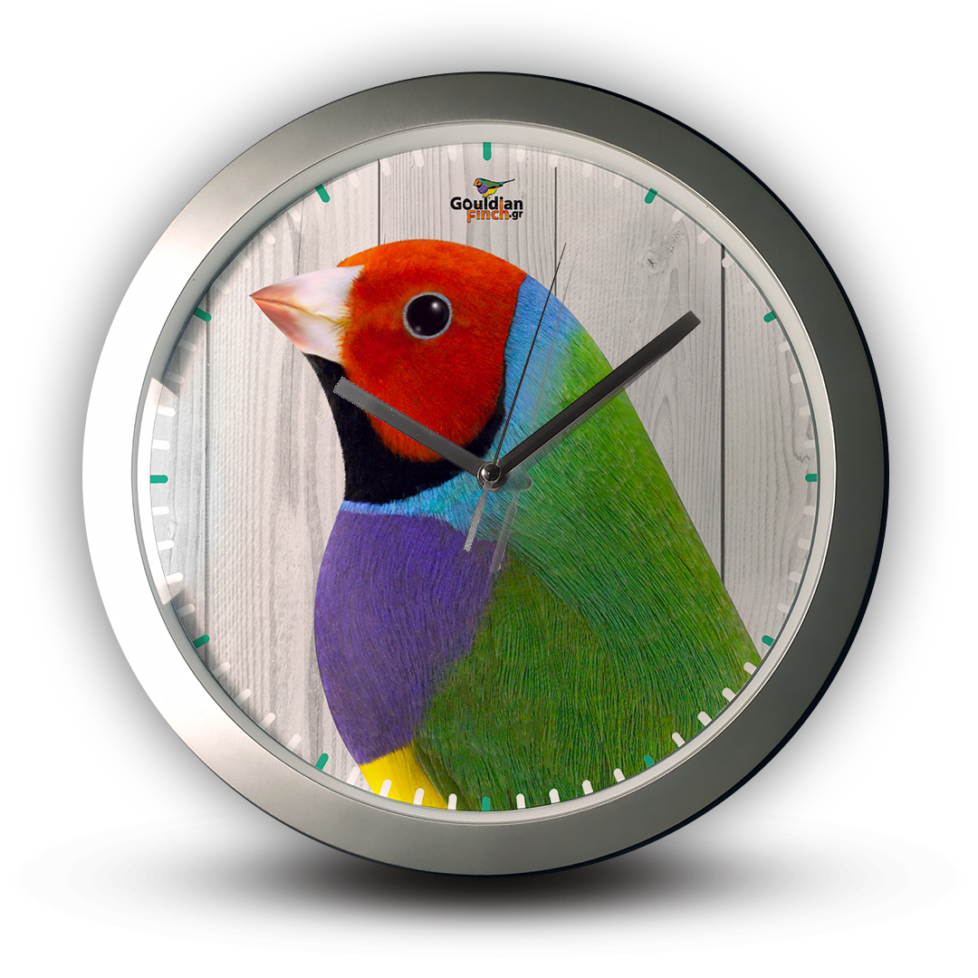 Red Head Gouldian finch male Wall clock Decor