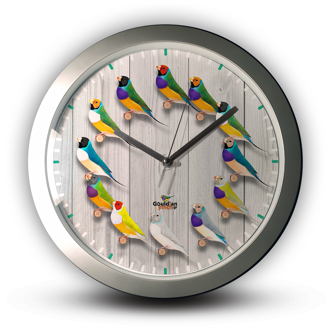 Different mutations Gouldians Wall clock Decor