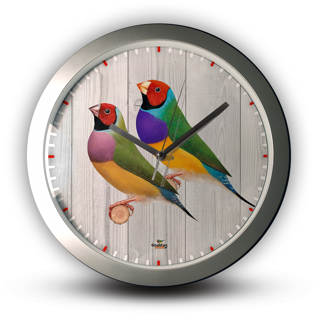 Gouldian Finch Ancestral Pair silver Wall Clock