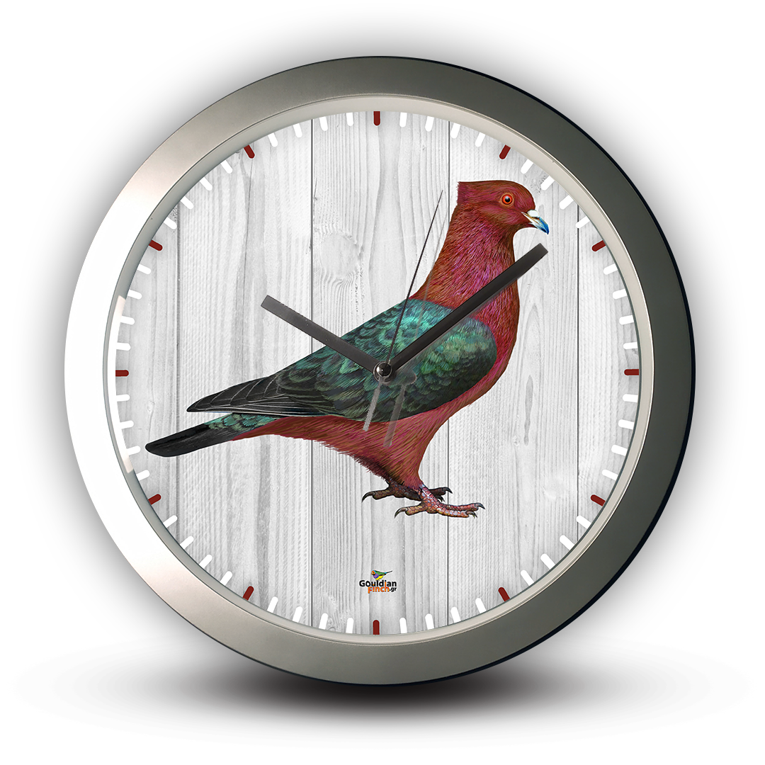 Gimpel Archangel Pigeon, silver Wall Clock