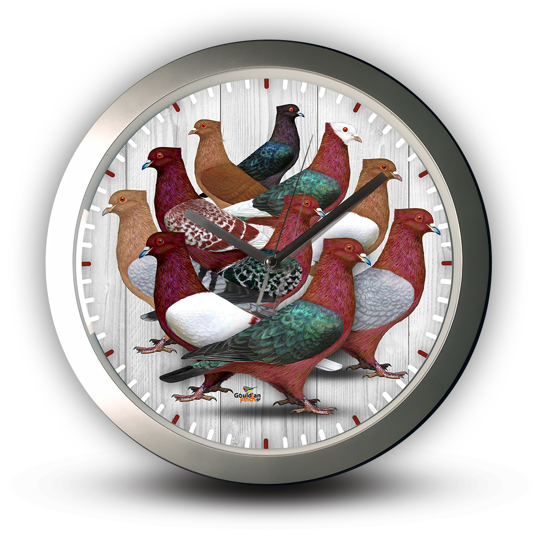 Gimpel Archangel Pigeon Color Mutations, silver Wall Clock