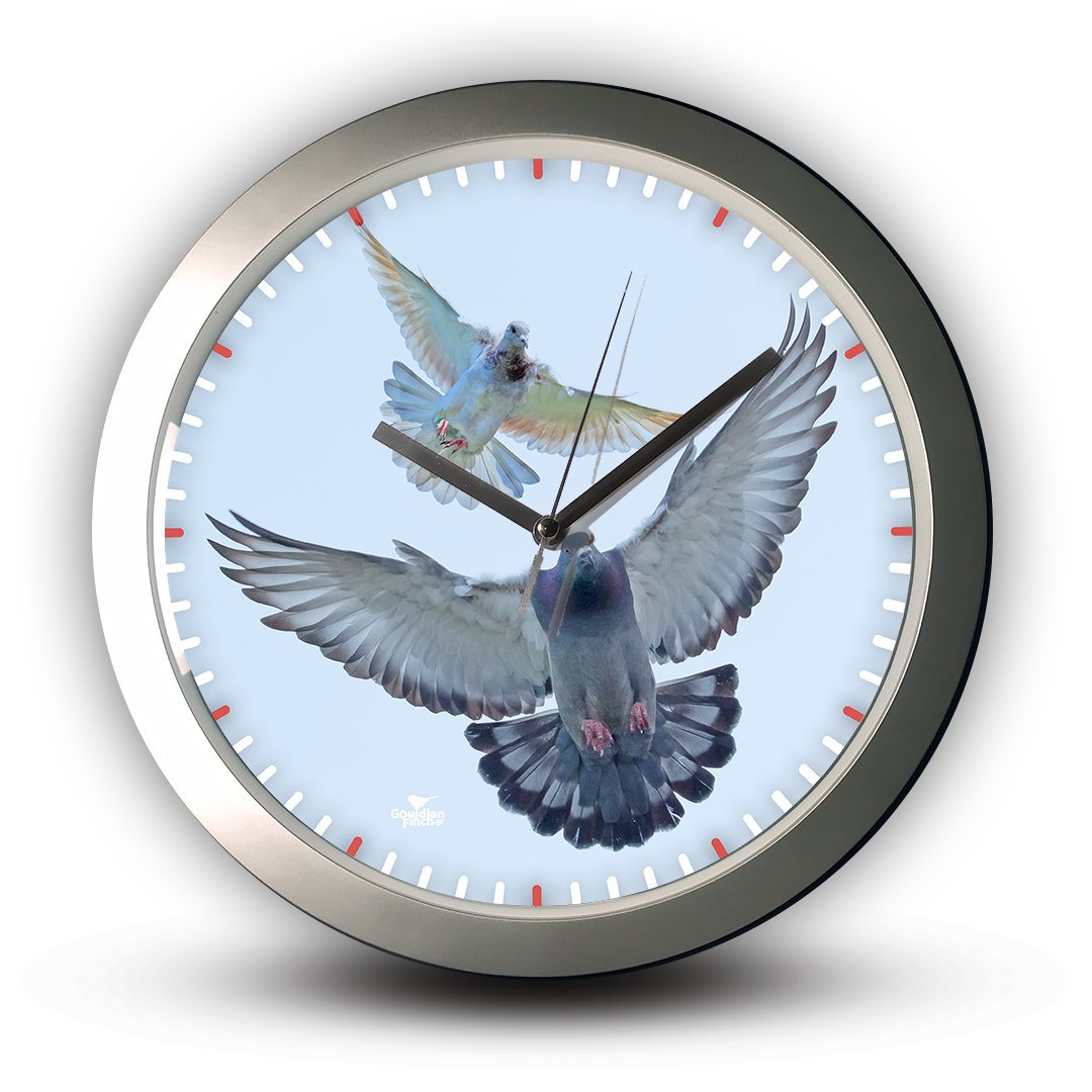 Flying Pigeons photo, silver Wall Clock