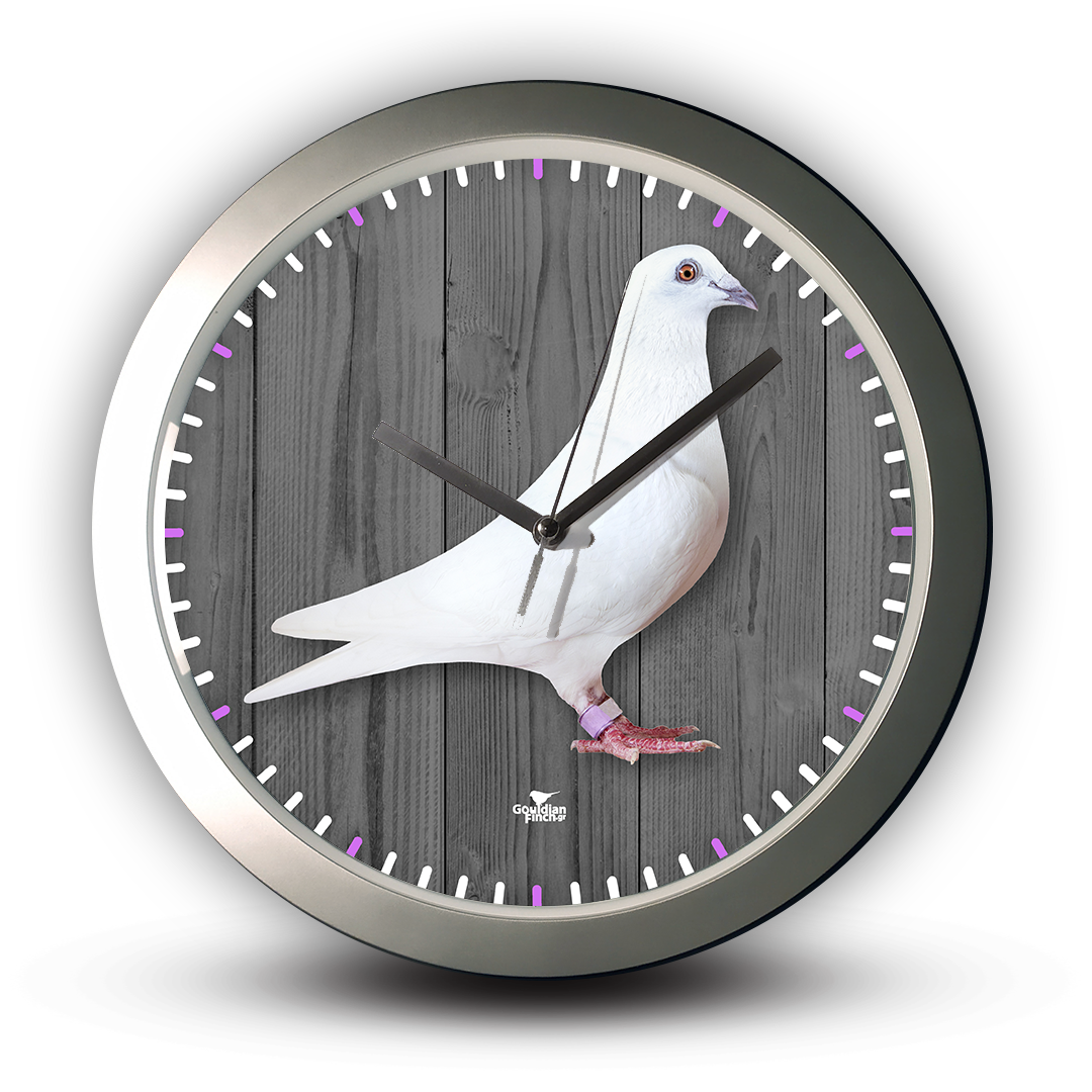 White Racing Pigeons photo, silver Wall Clock