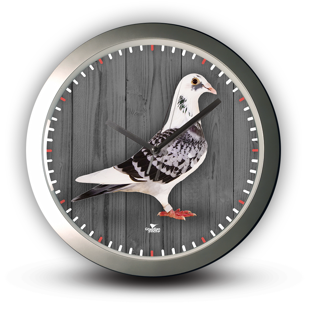 Black & White Check Racing Pigeon photo, silver Wall Clock