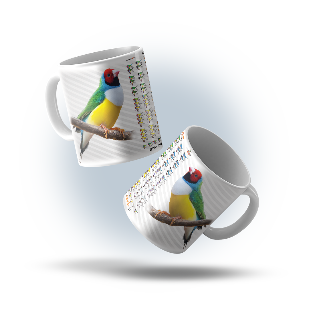 Gouldian Finch Mutation Poster, Porcelain White Mug