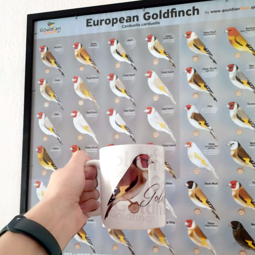 Major European Goldfinch Illustrated Show Standards, Porcelain White Mug - Image 3