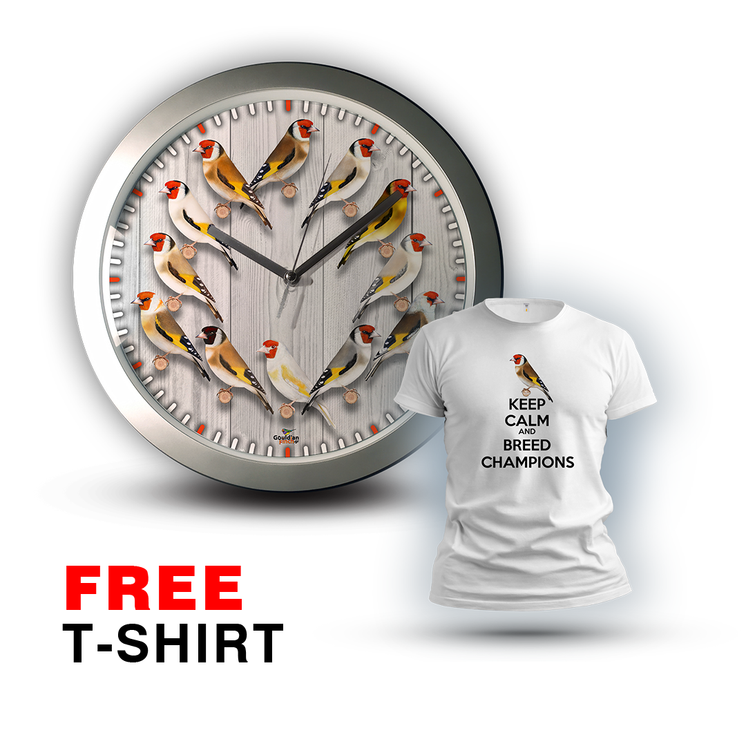 12 Goldfinch Mutations, silver Wall Clock 2026