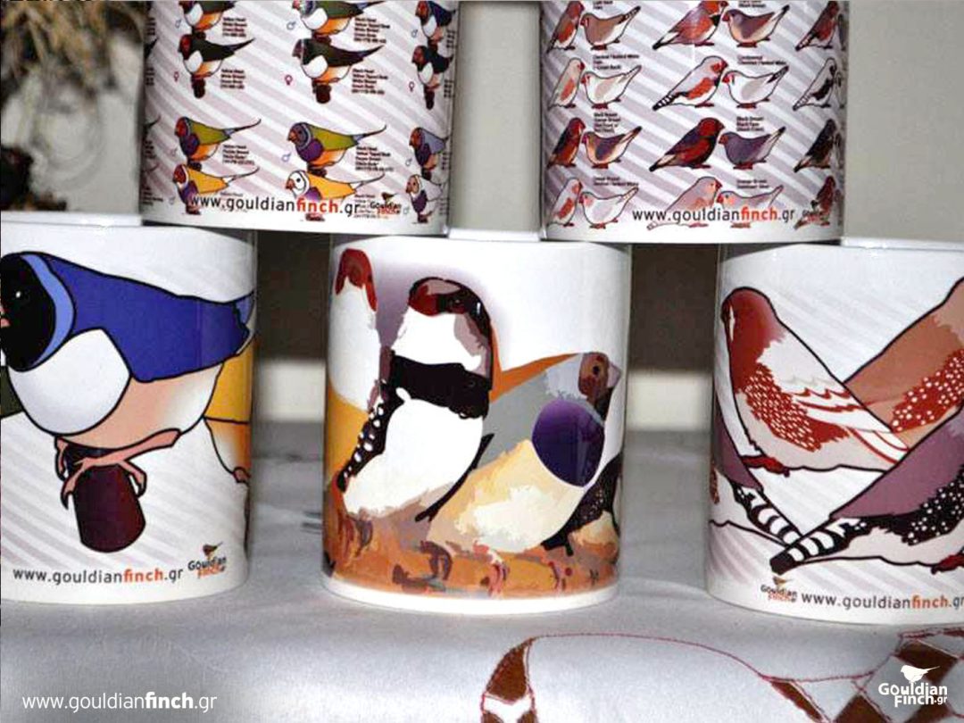 Mutation chart Zebra finch Poster, Porcelain White Mug - Image 2