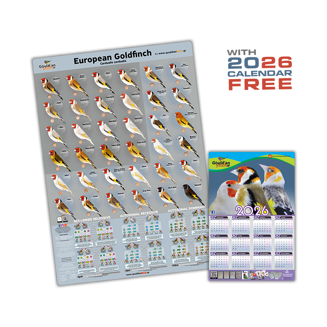 New European Goldfinch Mutation Poster 2026