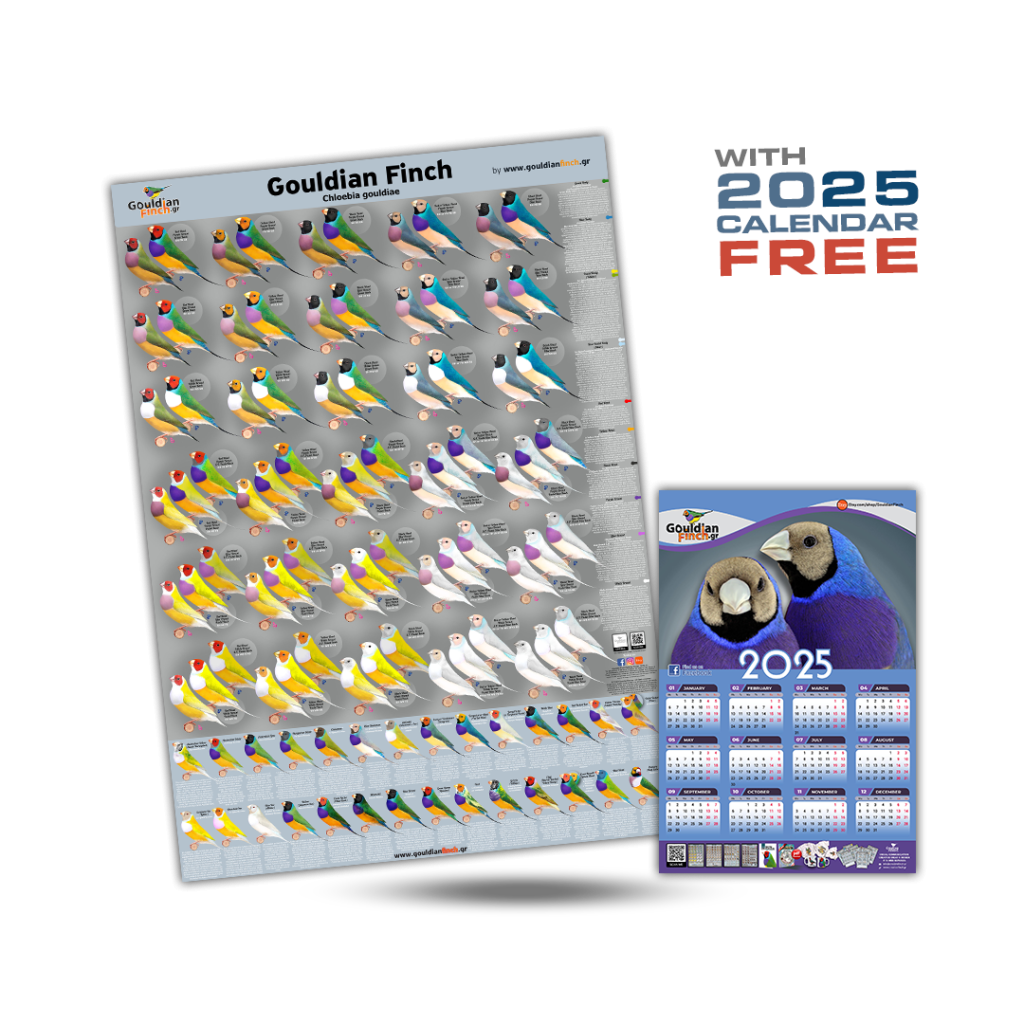 THE BEST MATERIAL for Gouldian! online Mutations / Show Standards / Genetics: All in One + Gouldian Finch 2023 Calendar 32*48cm for Free!!!