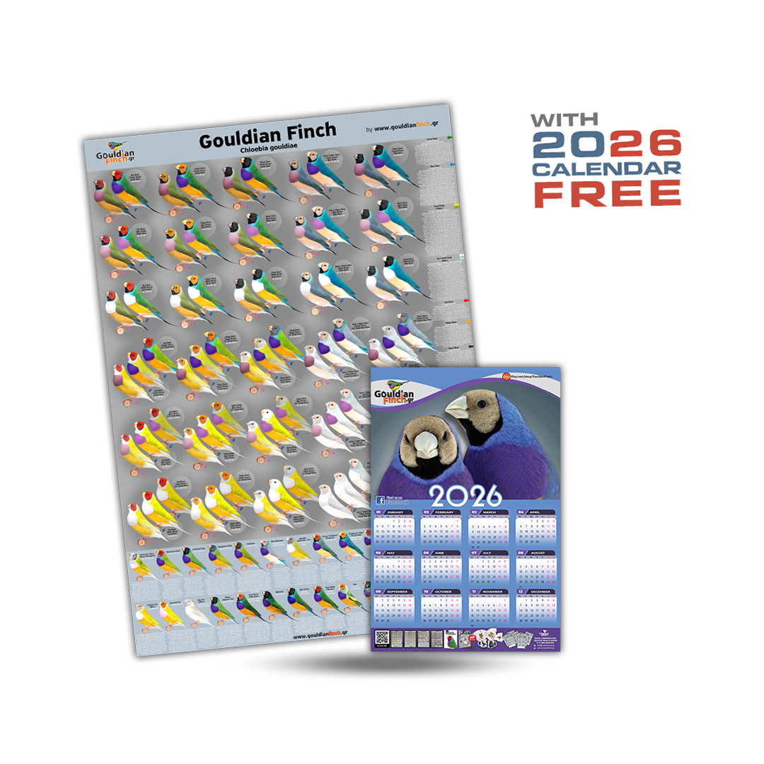 New Gouldian Finch Mutation Poster 2026