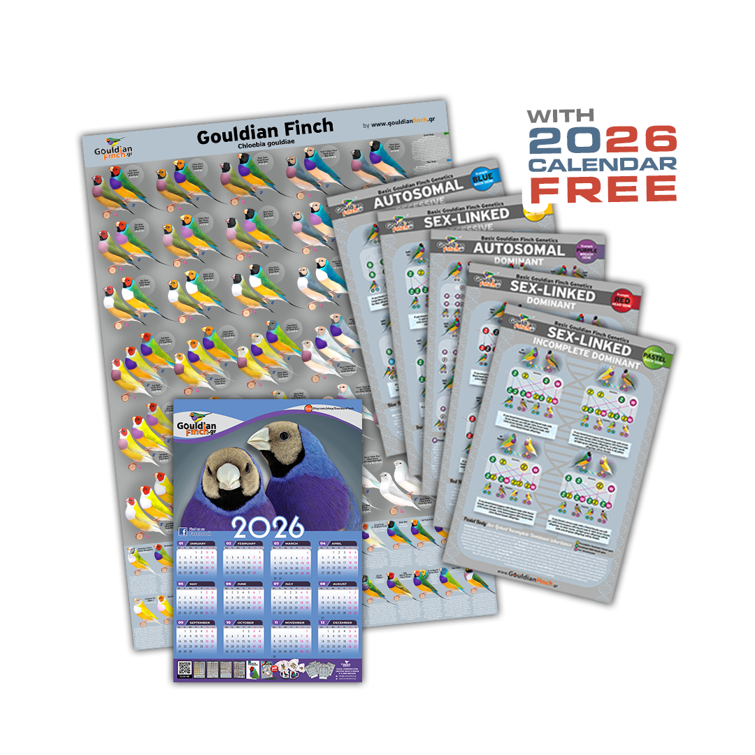 Gouldian Finch Mutation Poster + Set of 5 Genetics posters 2026