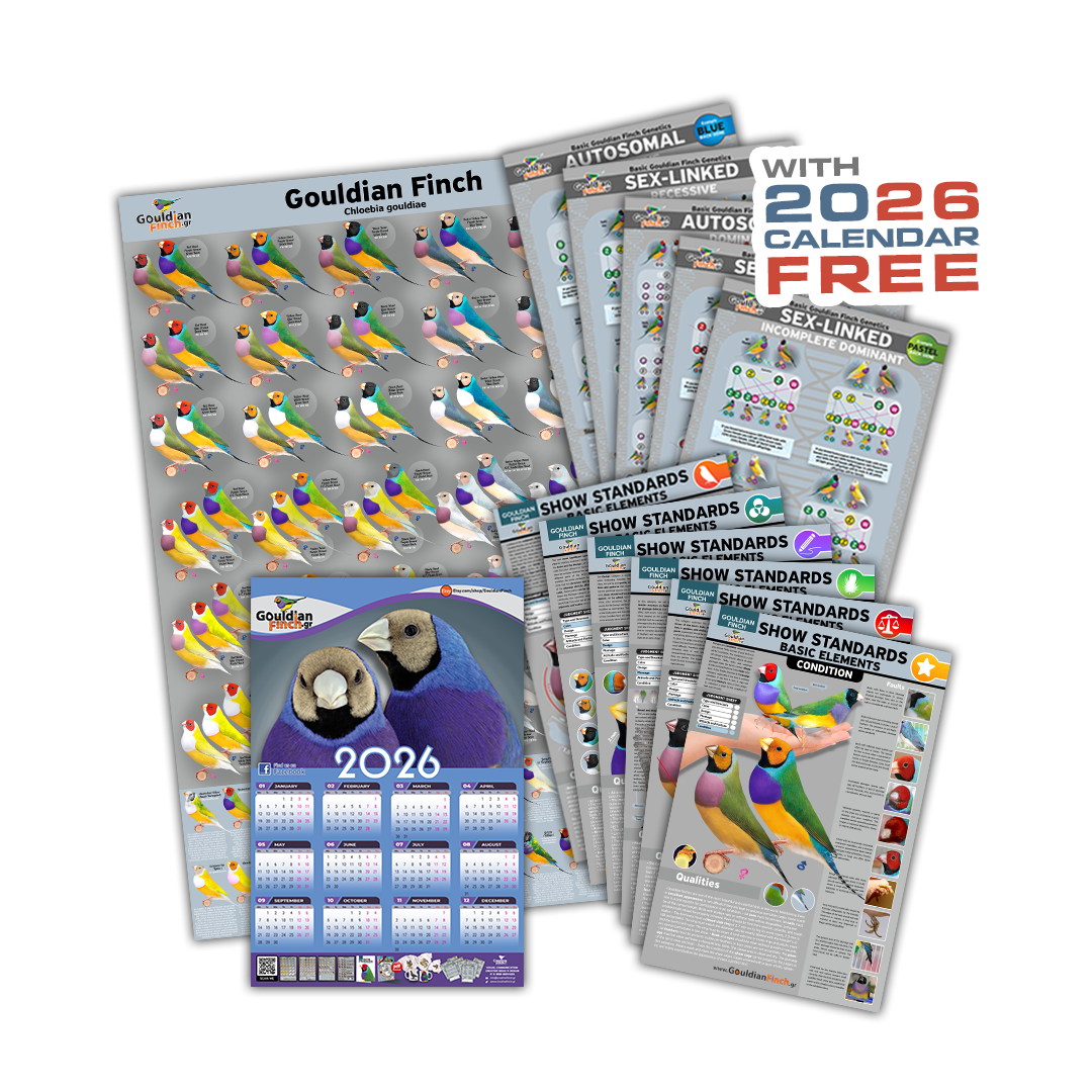 All in One - Mutations, Genetics & Show Standards - Gouldian Finch Informative Material 2025