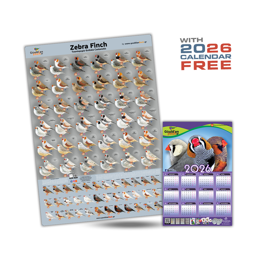 New Zebra Finch Mutation poster 2026