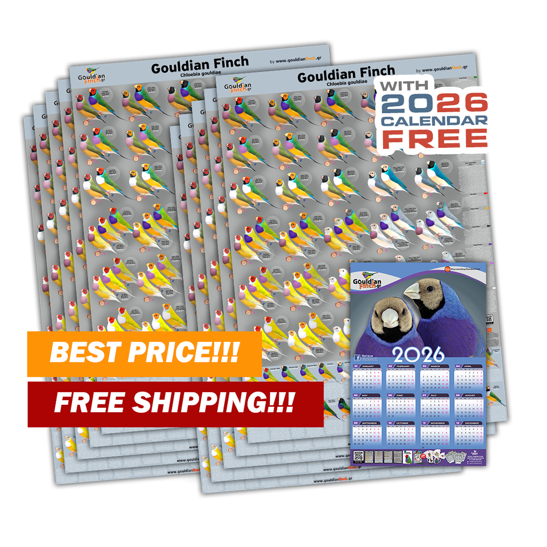 Pack of 10 New Gouldian Finch Mutations poster 2026 - FREE SHIPPING