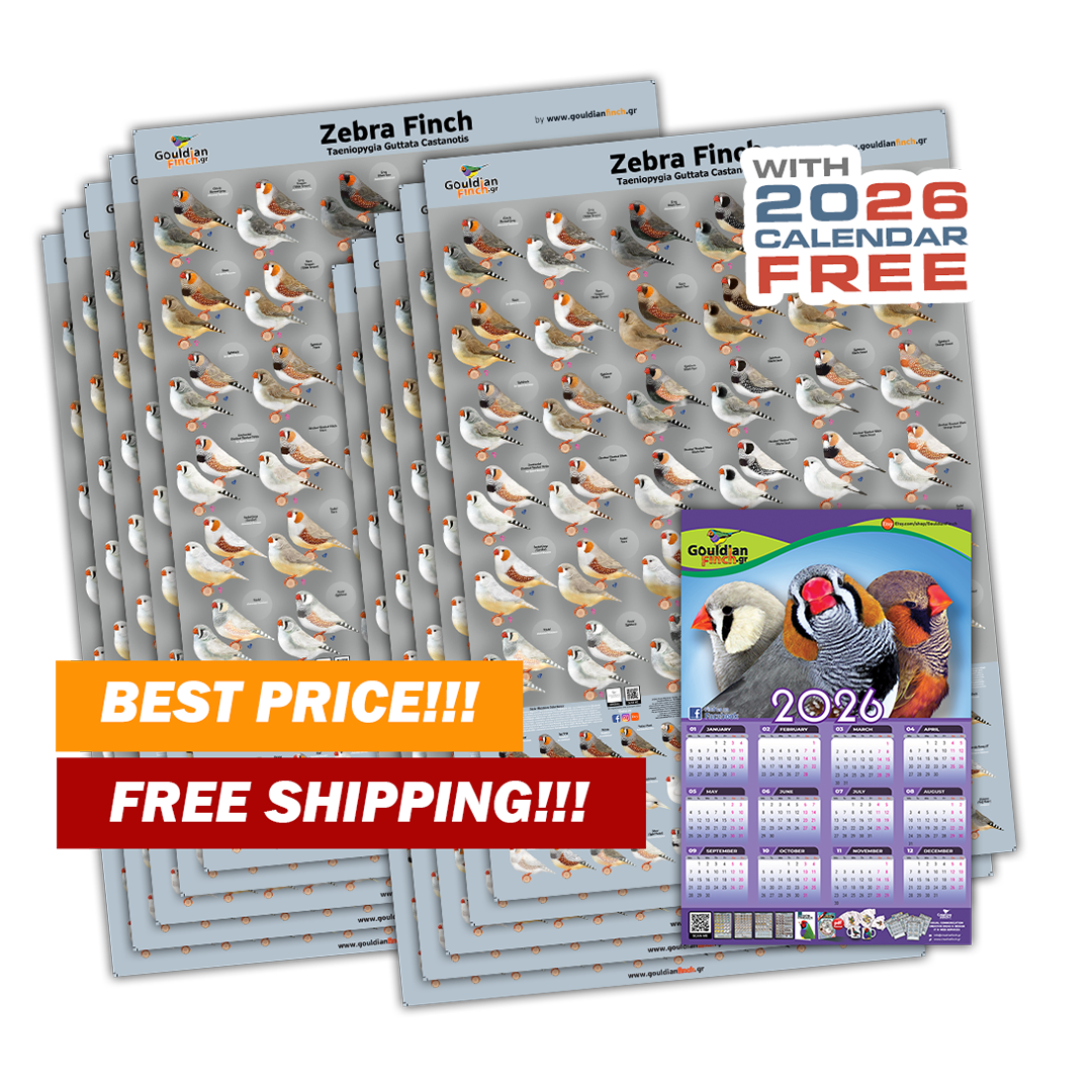 Set of 10 New Zebra Finch Mutations poster 2026 - FREE SHIPPING
