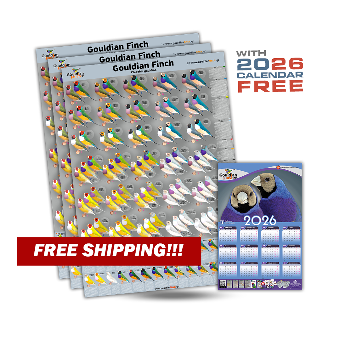 Set of 3 New Gouldian Finch Mutations poster 2026