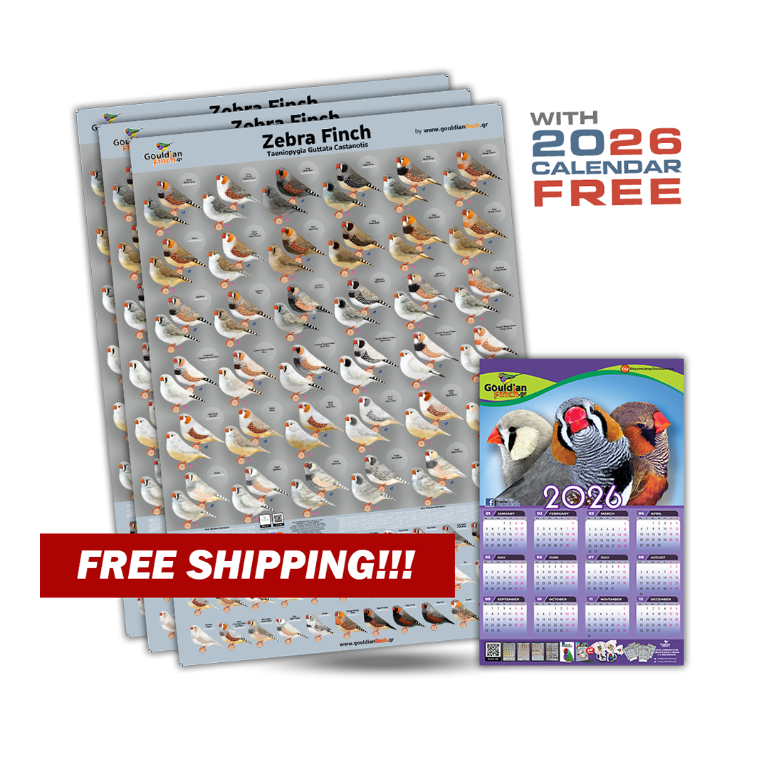 Set of 3 New Zebra Finch Mutations poster 2026