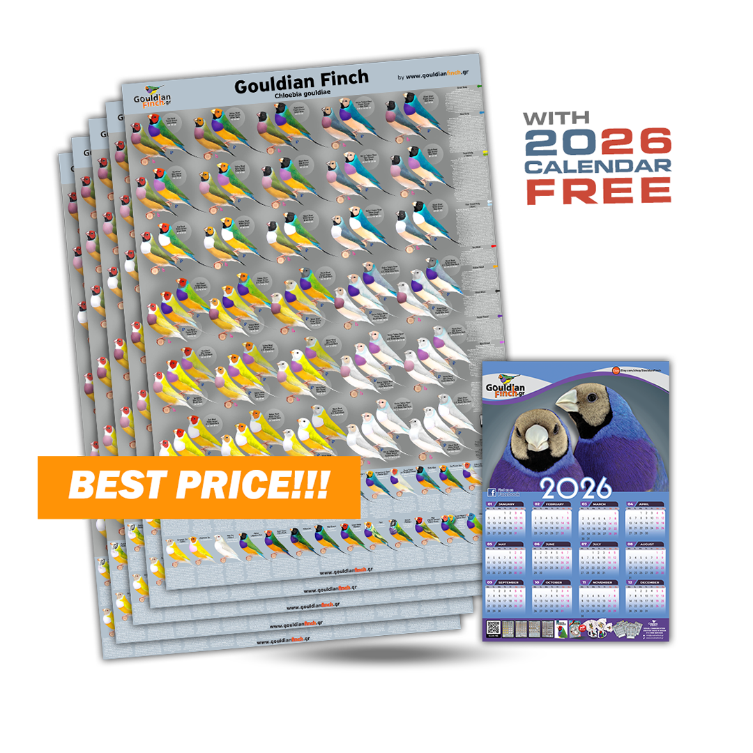 Set of 5 New Gouldian Finch Mutations poster