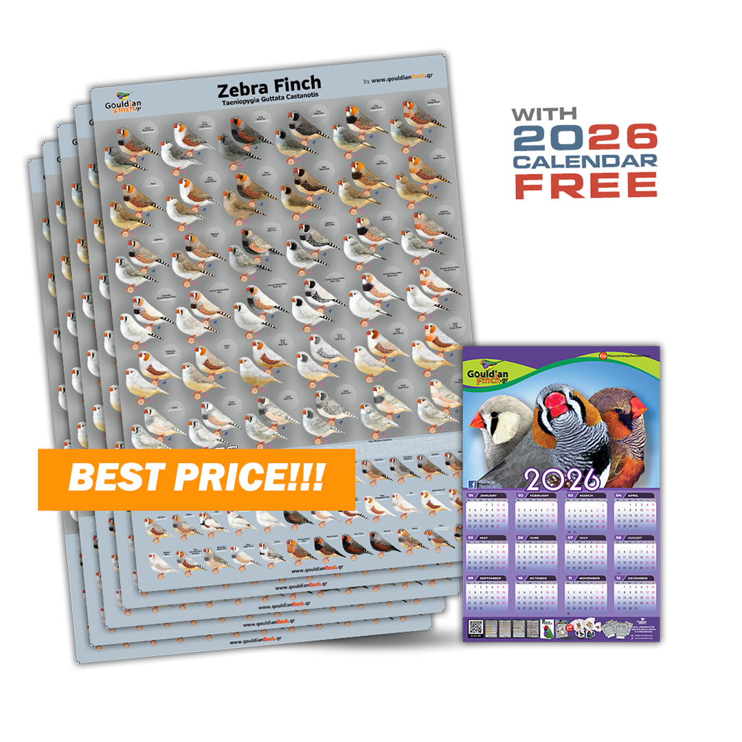 Set of 5 New Zebra Finch Mutations poster 2026