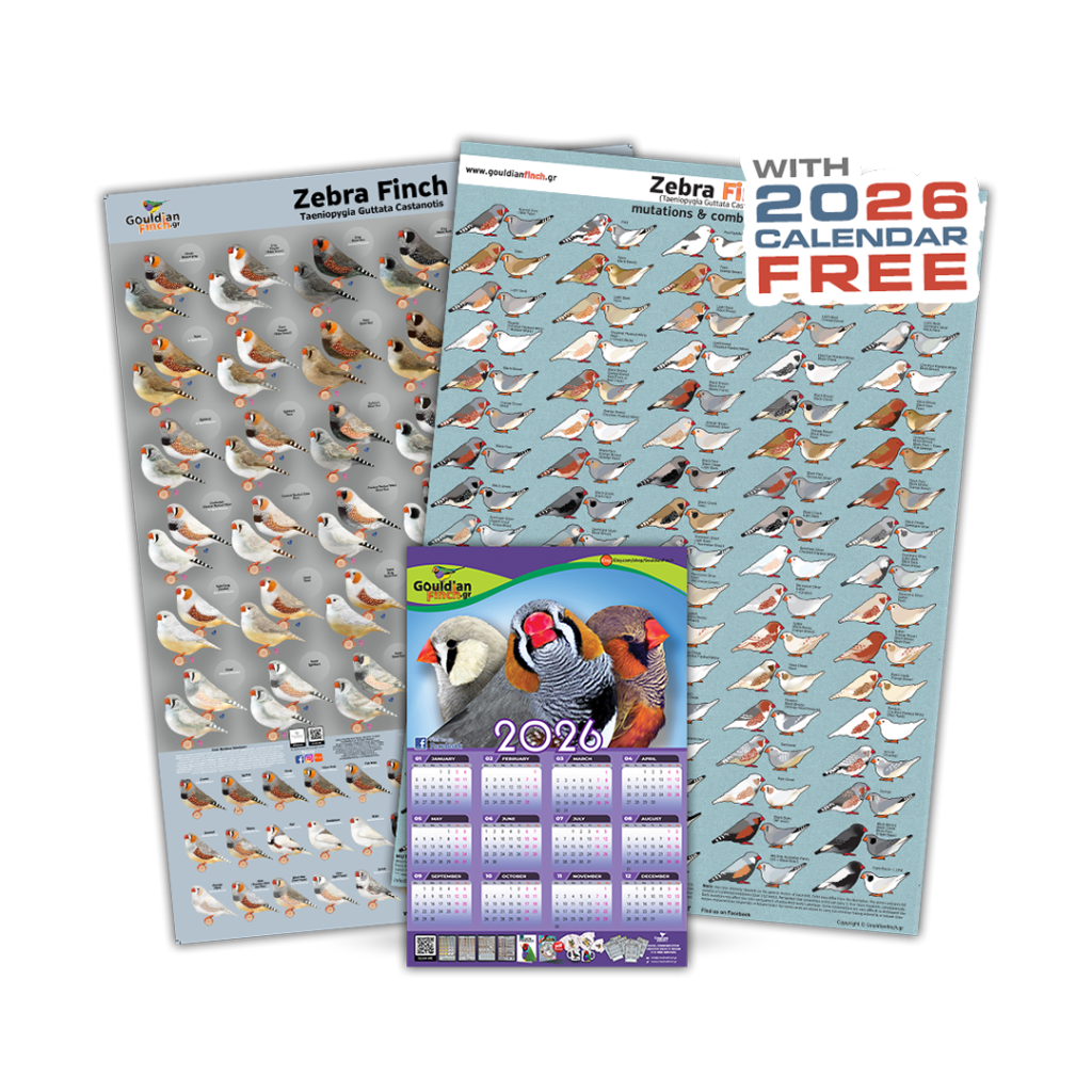 New and Old Zebra Finch Mutations posters 2026 – Gouldianfinch