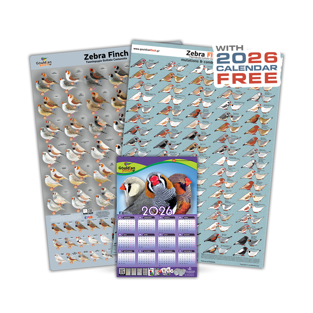 New and Old Zebra Finch Mutations posters 2026