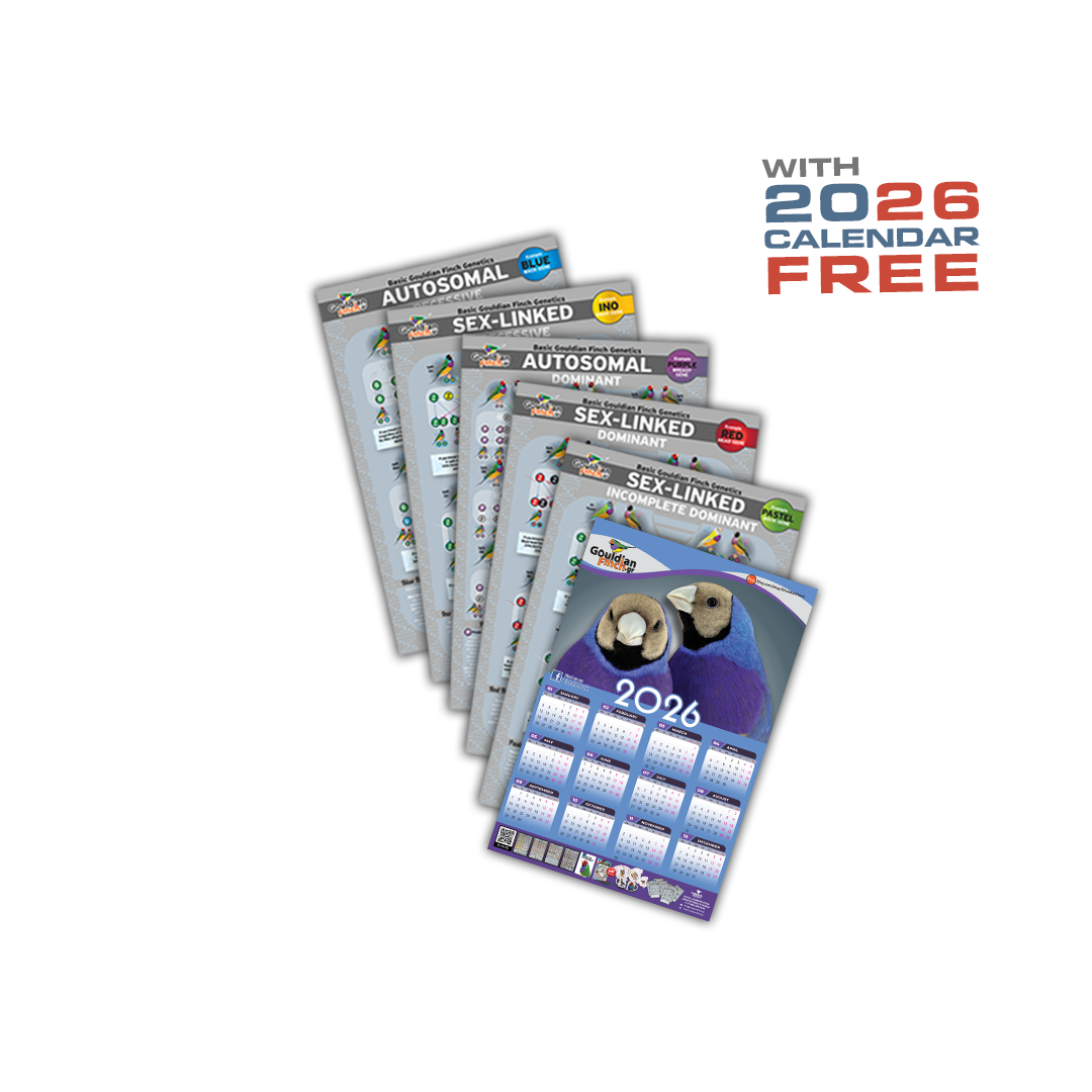 Set of 5 New Gouldian Finch Genetics Posters