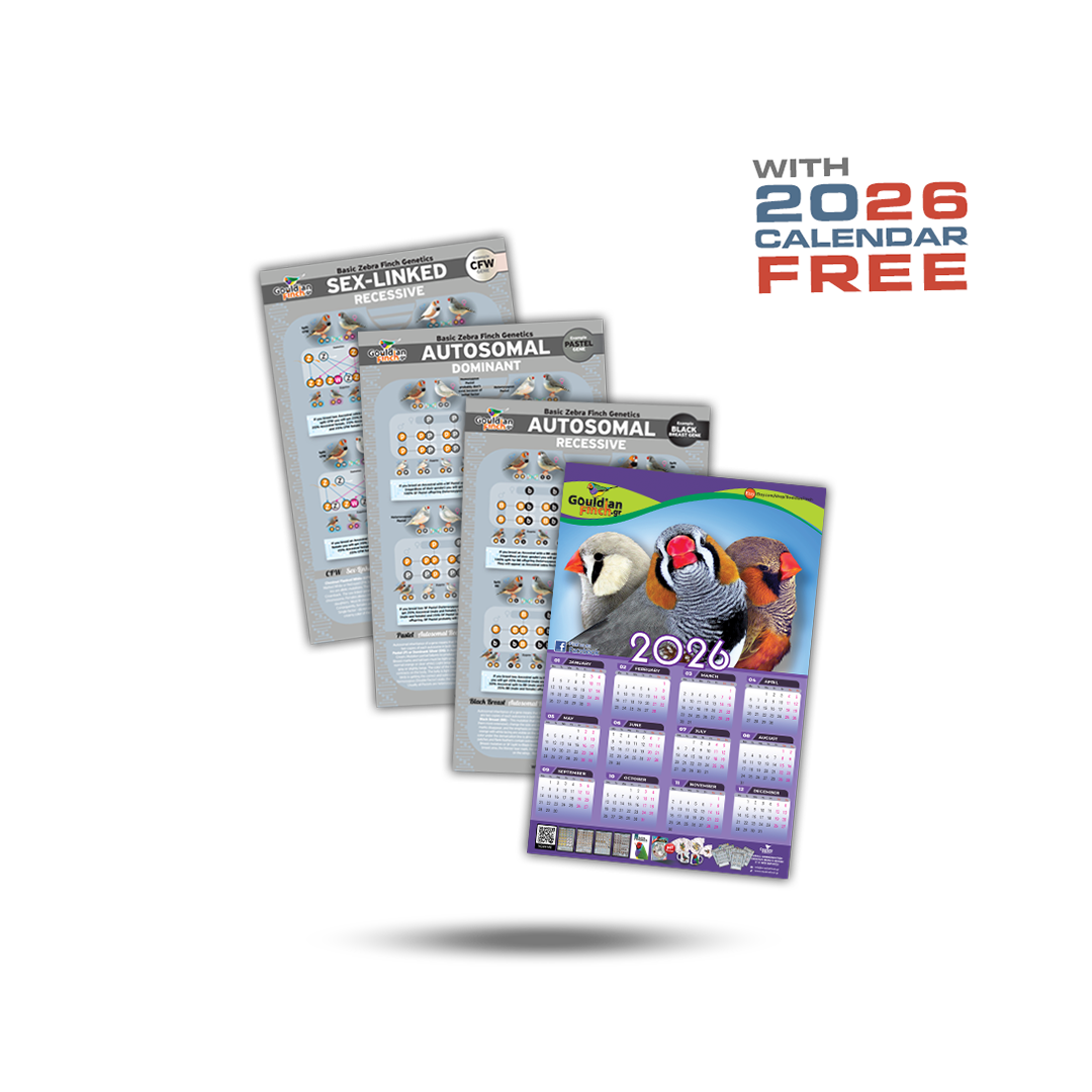 Zebra Finch Genetics posters 2026