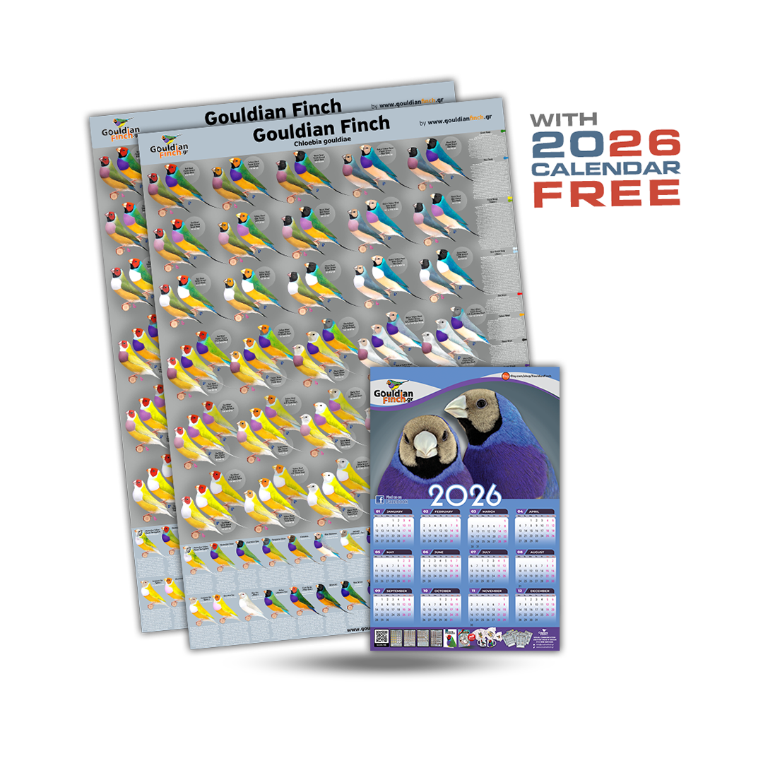 Set of 2 New Gouldian Finch Mutations poster 2026