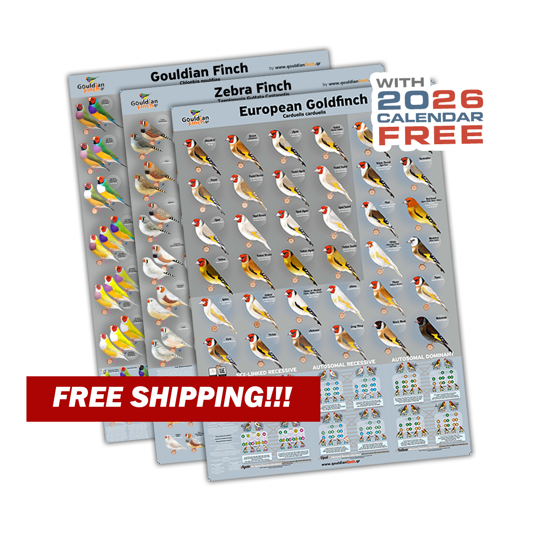 NEW Gouldian, New Zebra, and New Goldfinch Mutation Posters 2026