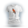 Red Siskin, Spinus cucullatus - white T-shirt