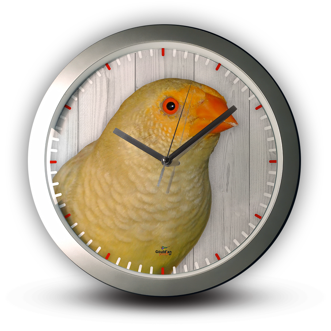 Star Finch silver Wall Clock with modern and unique design
