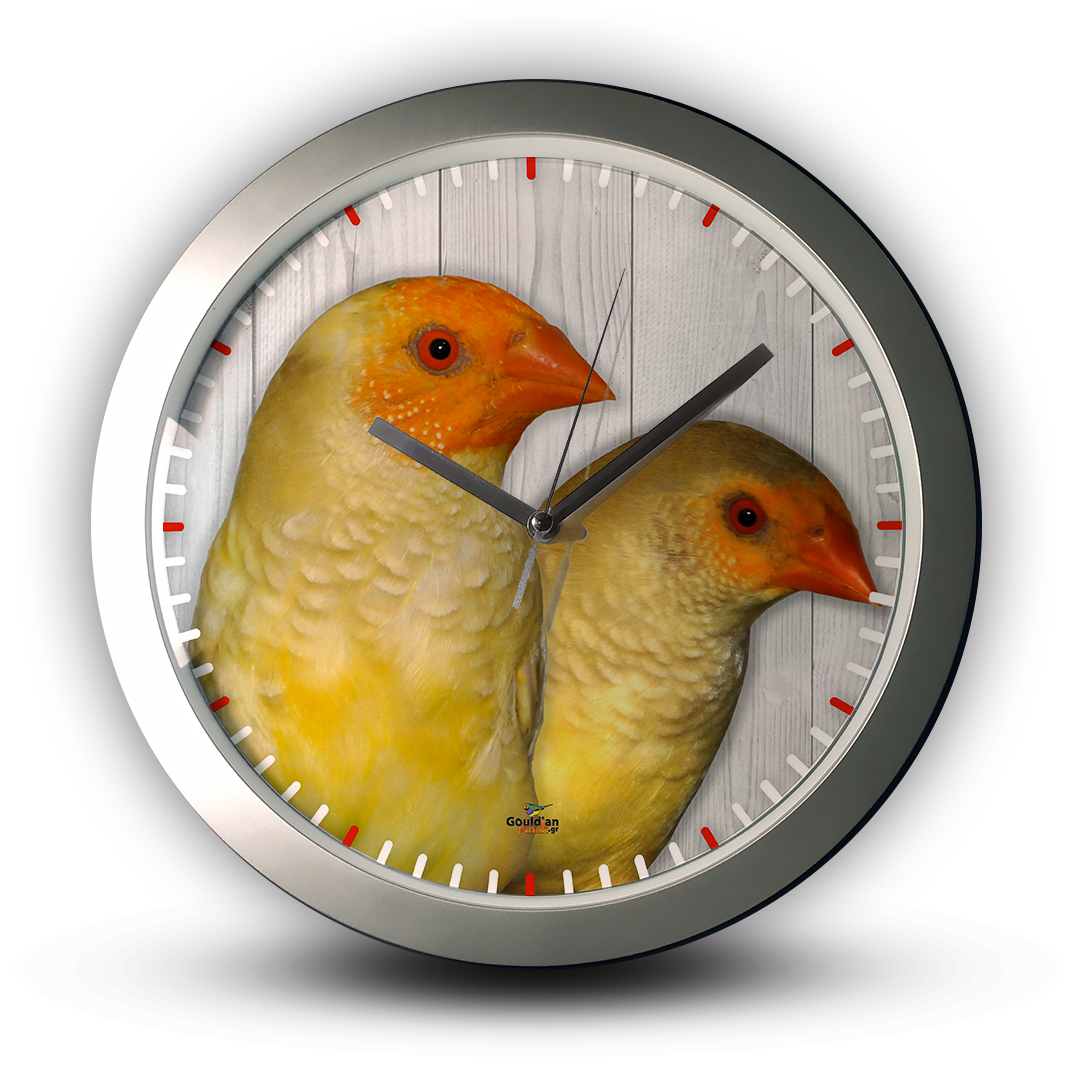 Star Finch silver Wall Clock with modern and unique design