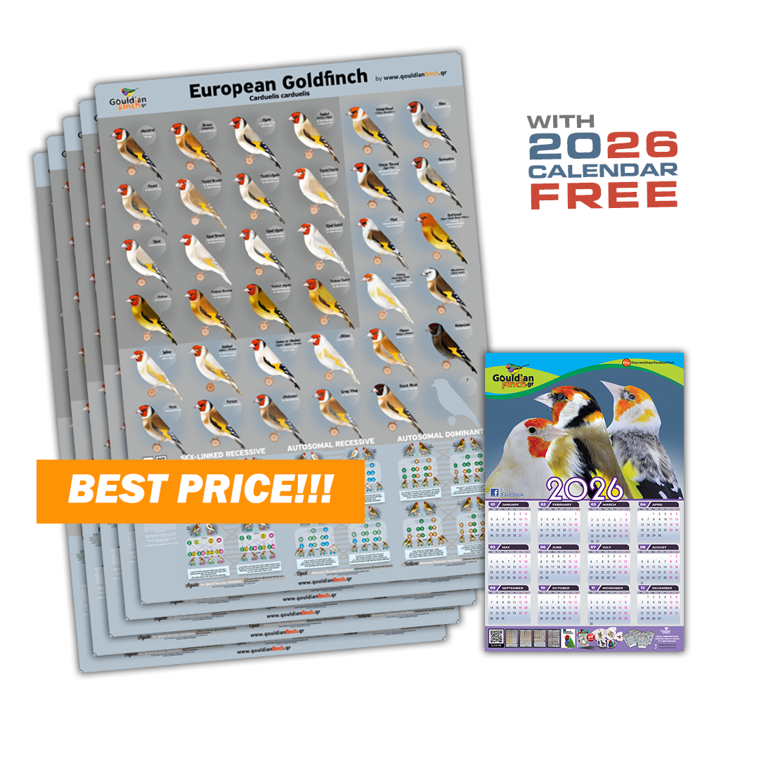 set of 5 New Major Goldfinch Mutation Poster 2026