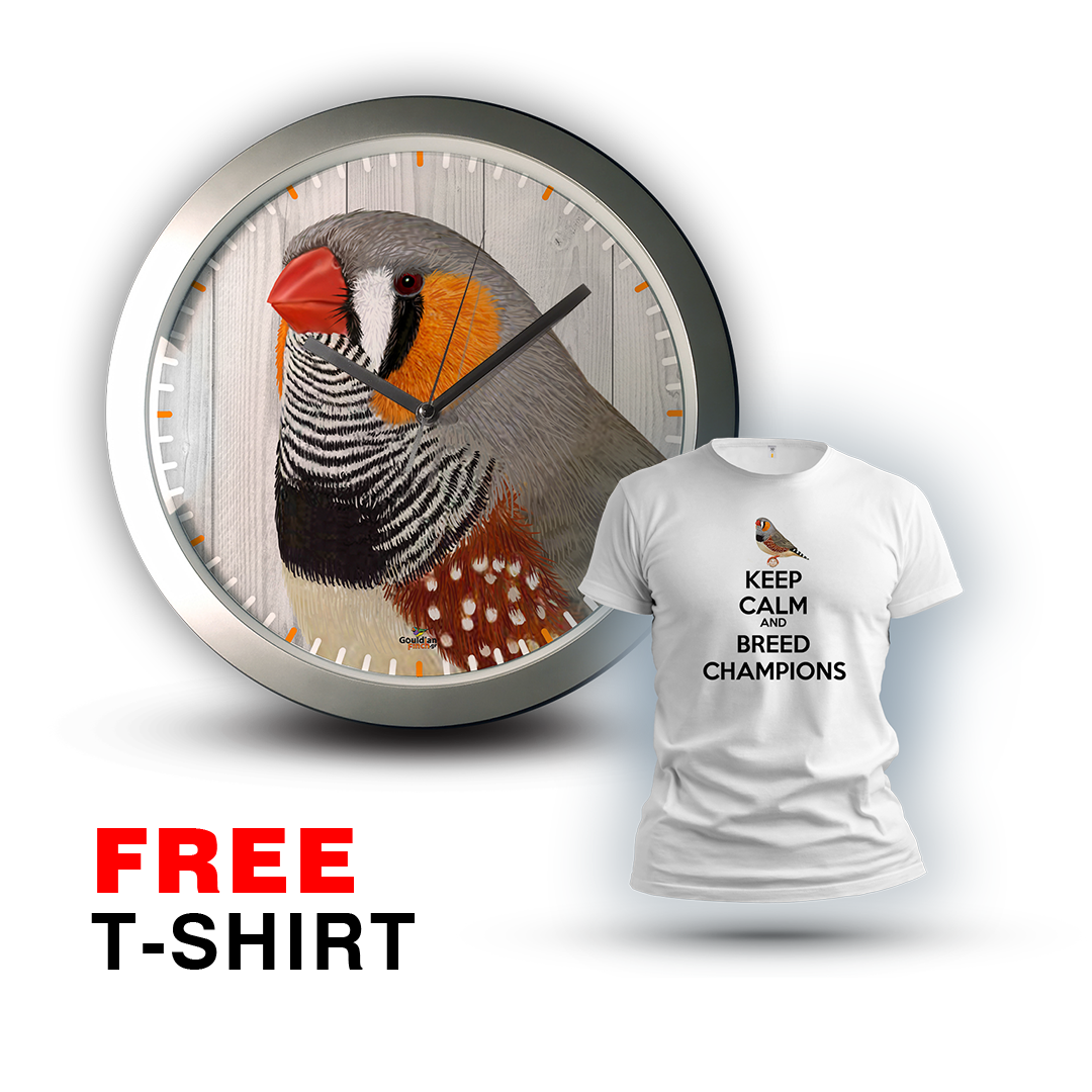 Ancestral Zebra finch male head, silver Wall Clock 2026