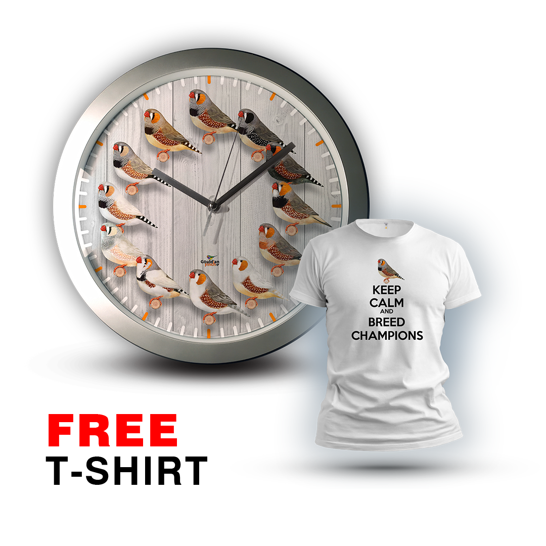 Different Zebra Finch Mutations, silver Wall Clock 2026