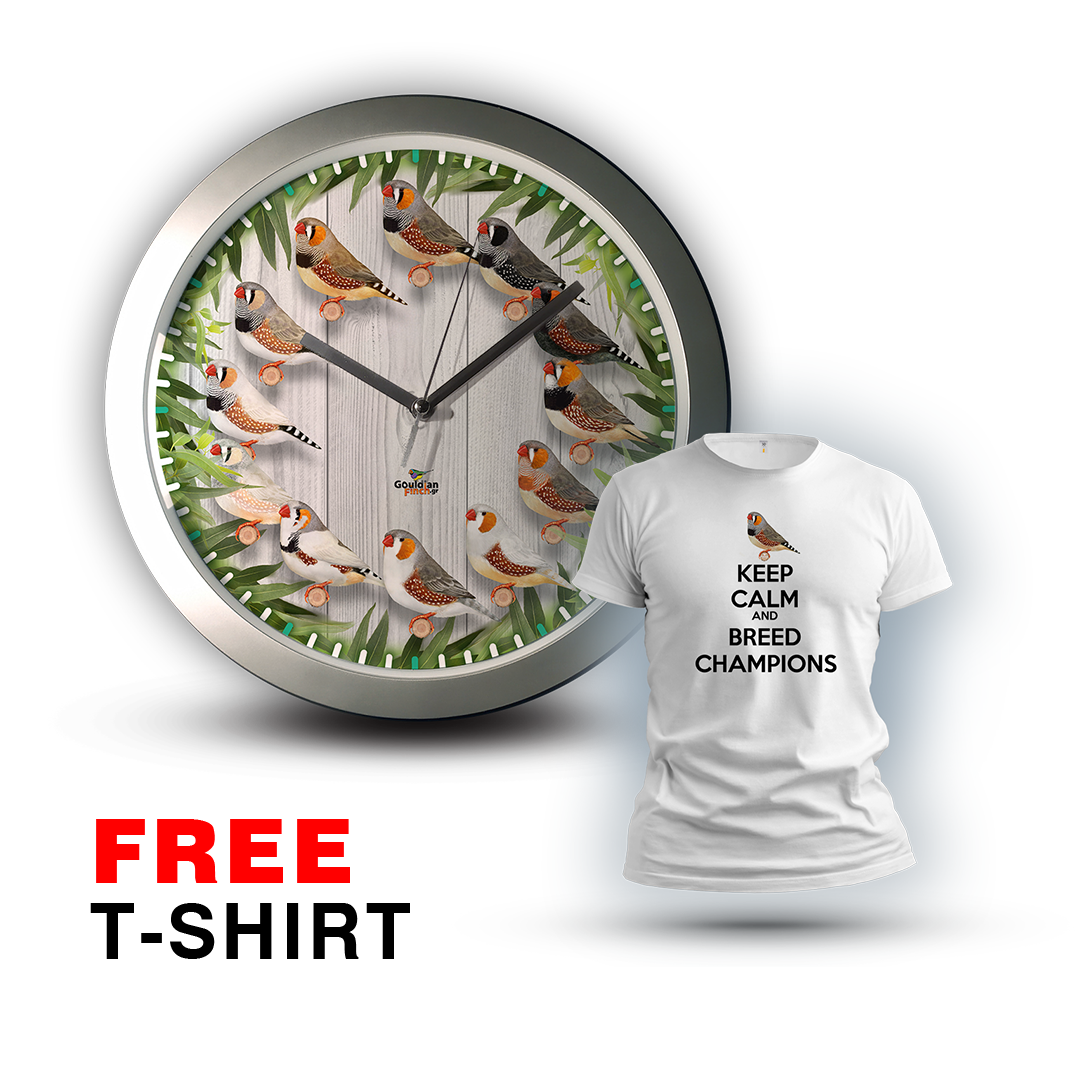 Different Mutations Zebra finch with Eucalyptus pattern, silver Wall Clock 2026